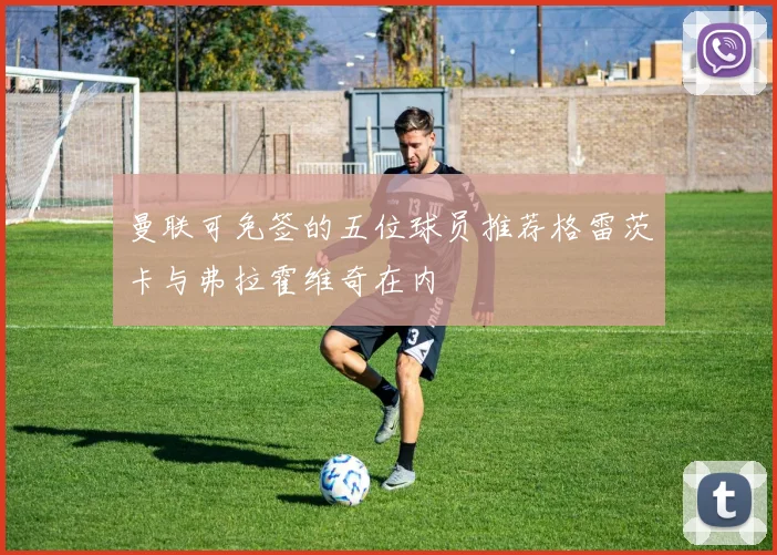 曼联可免签的五位球员推荐格雷茨卡与弗拉霍维奇在内