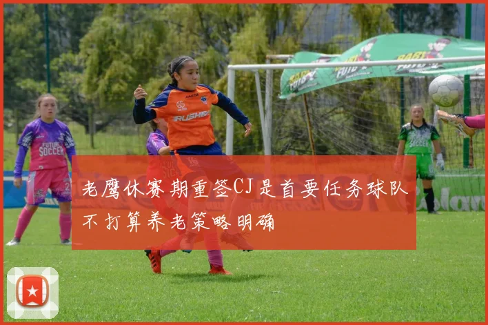 老鹰休赛期重签CJ是首要任务球队不打算养老策略明确